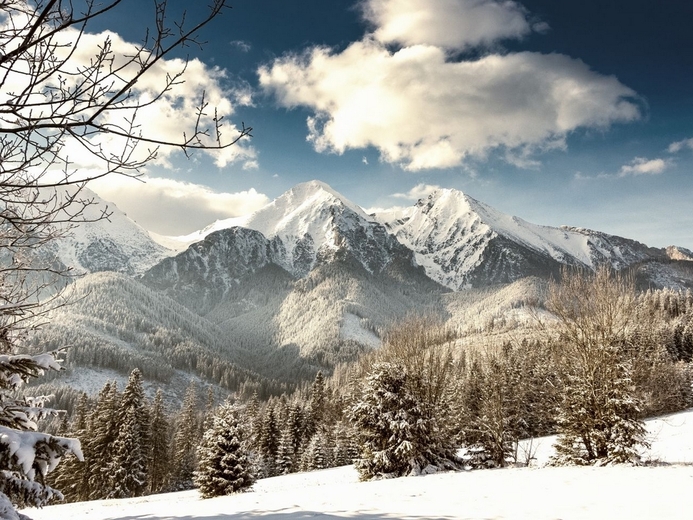 beliansketatry-sk-kamzik-web-07 - Belianské Tatry                         