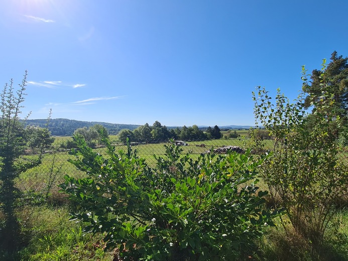 20250919_104008 - Orlík