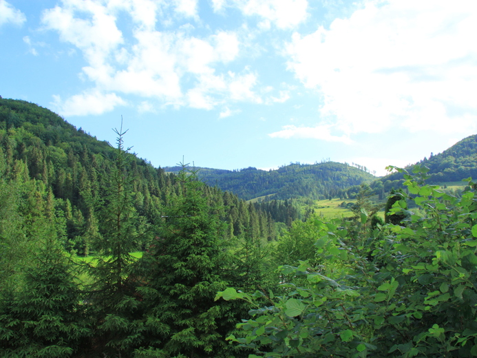 IMG_7828 - Poračská dolina