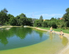 IMG_7915 - Litenčice