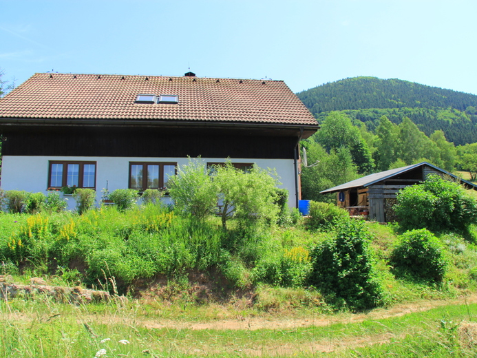 IMG_6560 - Žacléř