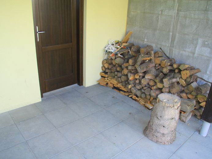 IMG_1764 - Rusava