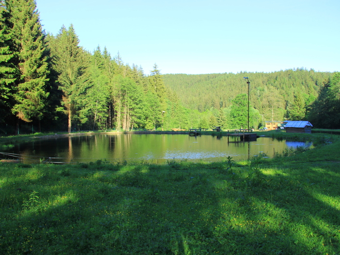 IMG_5583 - Vysoké Žibřidovice