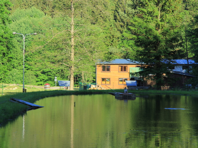 IMG_5596 - Vysoké Žibřidovice