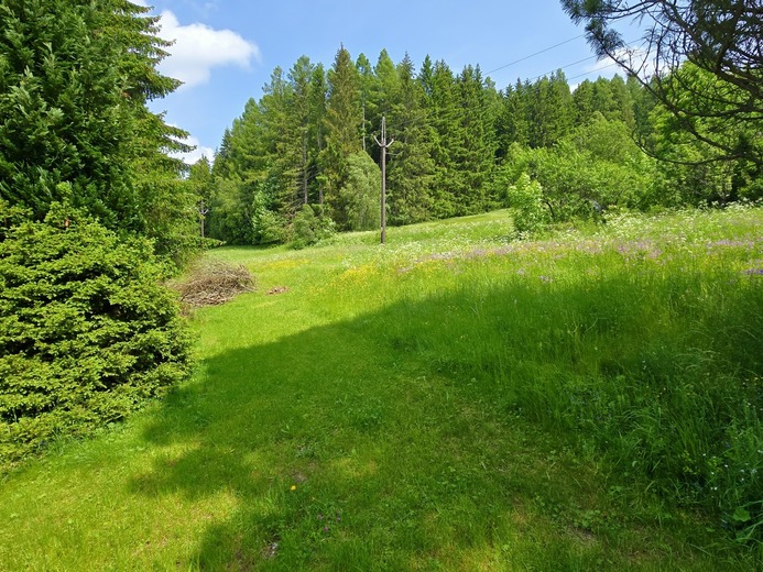 20250610_115345 - Skiareál Kopřivná