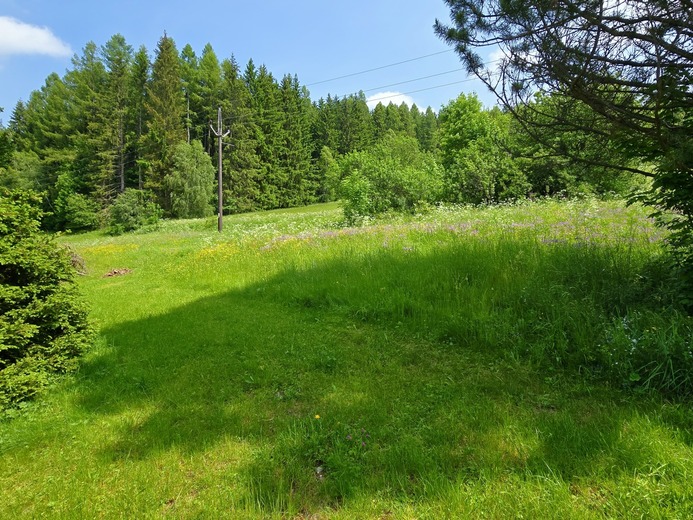 20250610_115405 - Skiareál Kopřivná