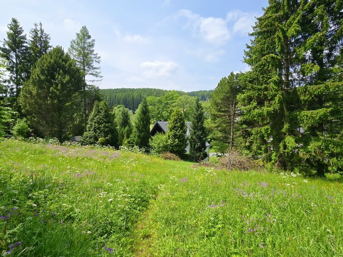 20250610_115723 - Skiareál Kopřivná