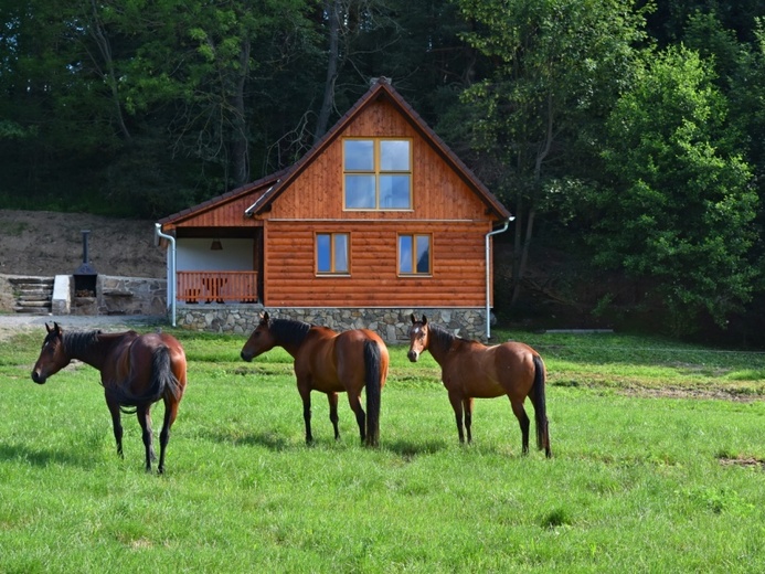 DSC_2809Z - Volyně
