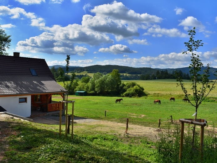DSC_2819Z - Volyně