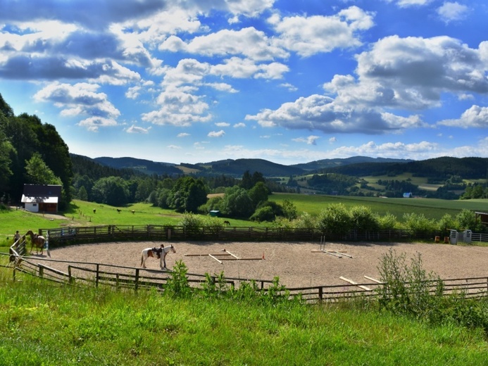 DSC_2821Z - Volyně