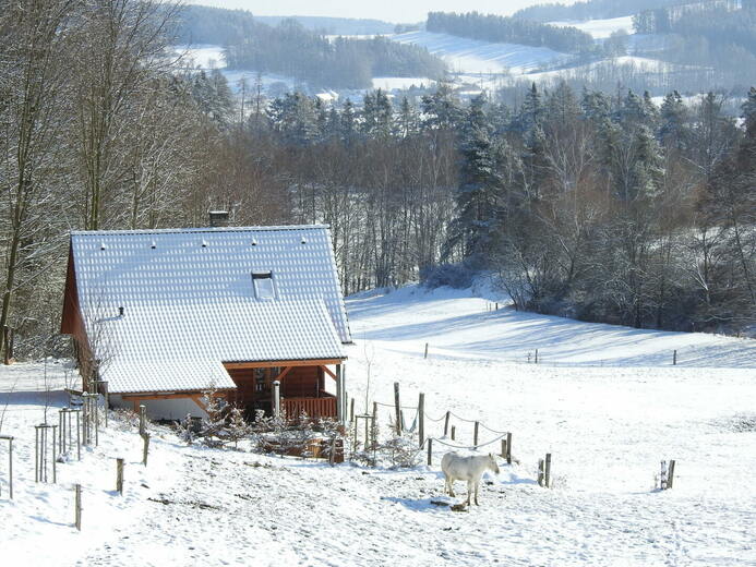 DSCN2640 - Volyně