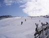 ahr48956f_zima_048 - Harrachov