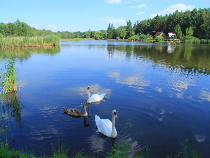 IMG_7357 - Hluboká nad Vltavou
