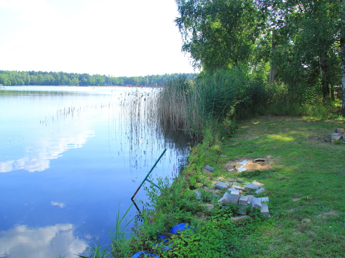 IMG_7338 - Hluboká nad Vltavou