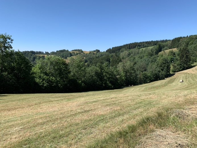 IMG_1410 - Jestřabí v Krkonoších