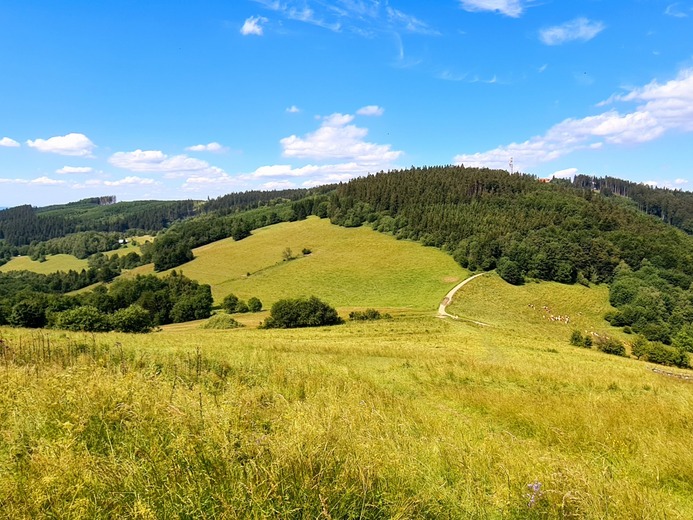 20200701_153441 - Mikulčin vrch