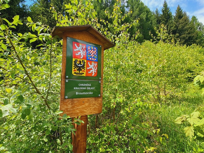 20210604_124230 - U Adršpašských skal