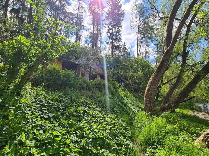 20210520_101817 - U řeky Sázavy