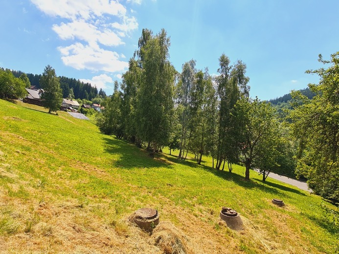 20210618_133123 - Rokytnice nad Jizerou