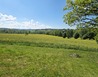 20250521_100208 - Kojčice