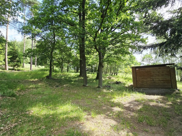 20260617_100216 - Kojčice