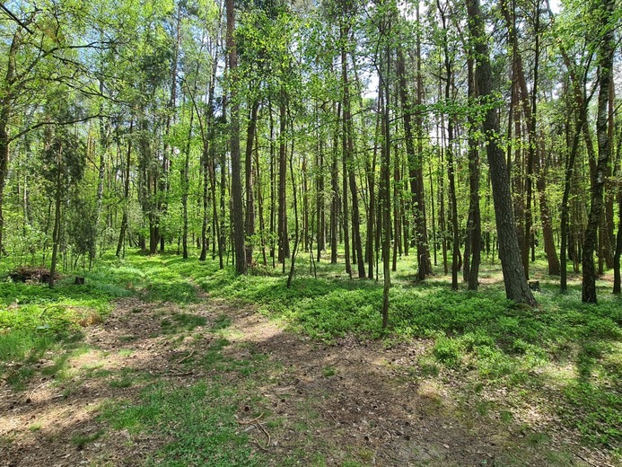 20220512_124511 - Veselí nad Lužnicí