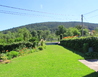 IMG_7213 - Sušice
