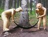 Čierny Balog - chalupa Nízké Tatry a střední Slovensko - Čierny Balog