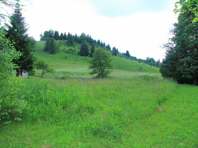 Zazrivá                        Západní Slovensko - Zazrivá