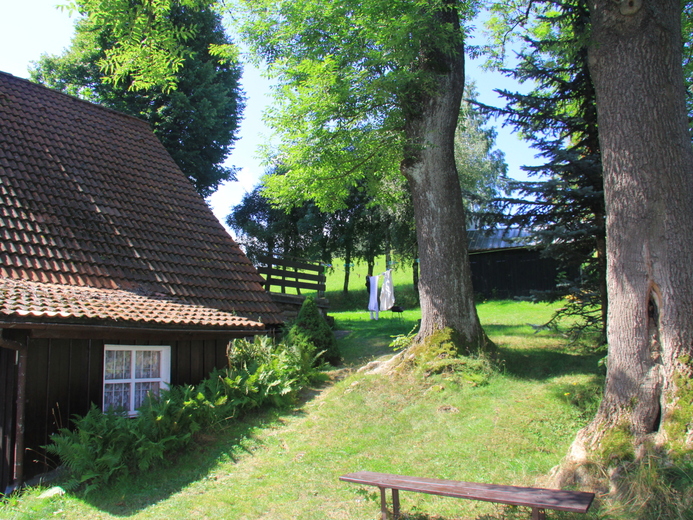 IMG_8969 - Křížlice