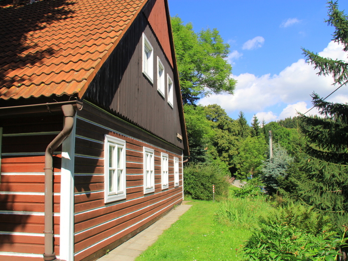 IMG_8976 - Křížlice