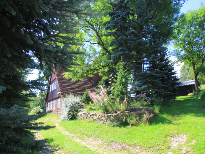 IMG_8980 - Křížlice
