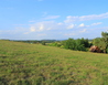 IMG_9557 - U Loštic