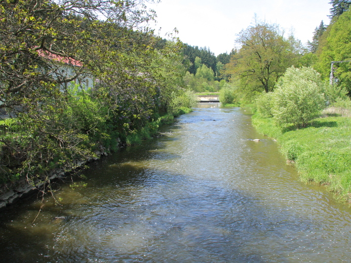IMG_4784 - Malý Beranov