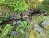 20240618_163318 - Zaječí Důl