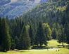 Pod Chopkem                    Nízké Tatry a střední Slovensko - Pod Chopkem                             