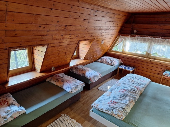 20260301_133355 - Halenkov