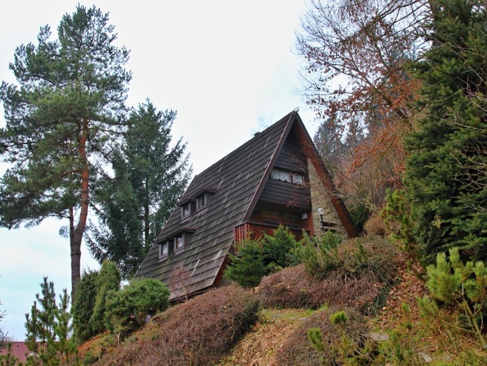 45.IMG_1602a - Halenkov