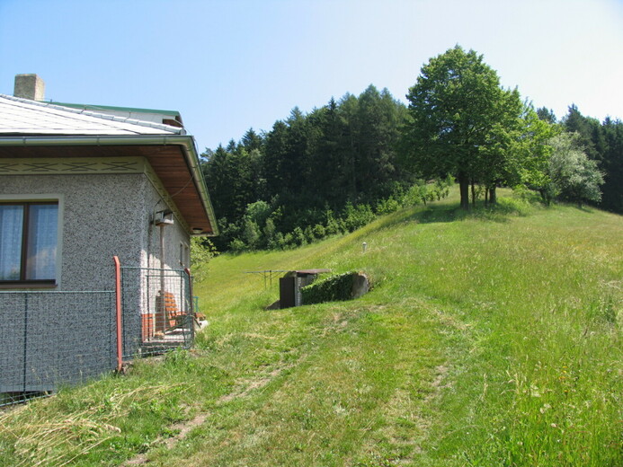 IMG_1011 - U Hronova