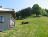 IMG_1011 - U Hronova