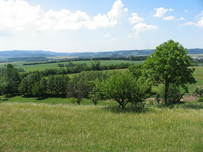 IMG_1012 - U Hronova
