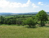 IMG_1012 - U Hronova