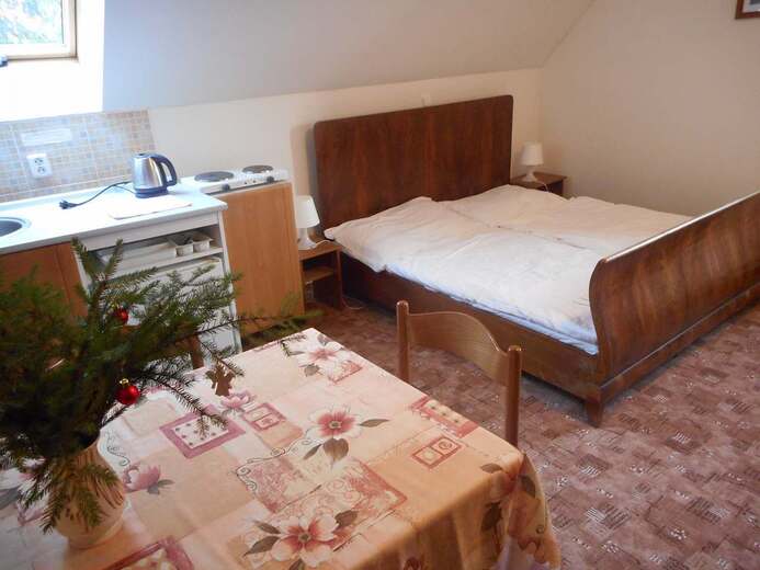 pokoj-499d- - Pod Předním Žalým