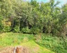 20210907_160125 - Bechyně