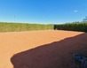 20240514_160903 - Březnice