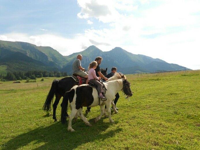 konik - Belianské Tatry