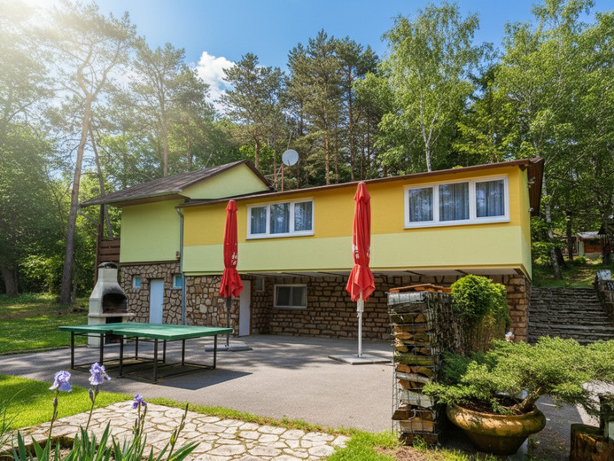 T989 - Zlatnická dolina