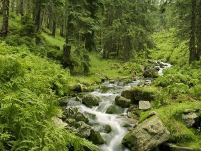 Harrachov - apartmán Krkonoše, severní Čechy - Harrachov
