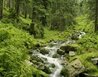 Harrachov - apartmán Krkonoše, severní Čechy - Harrachov