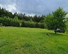 20240523_085321 - Nové Město na Moravě
